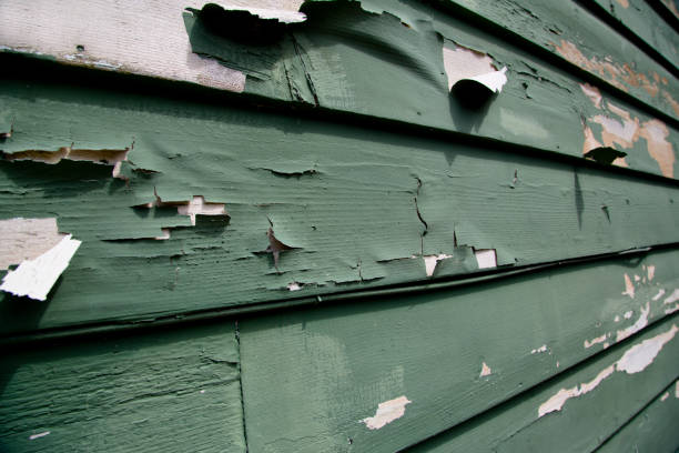 Best Hoarding Cleanup  in Wappingers Falls, NY